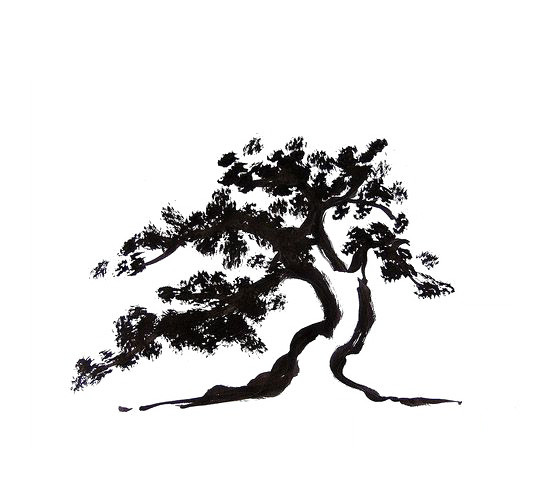 黑色松树