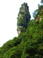 张家界的春天的山谷