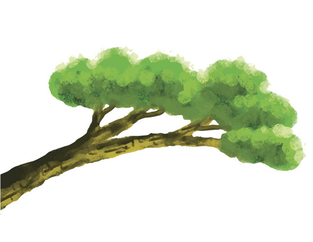 油墨松树