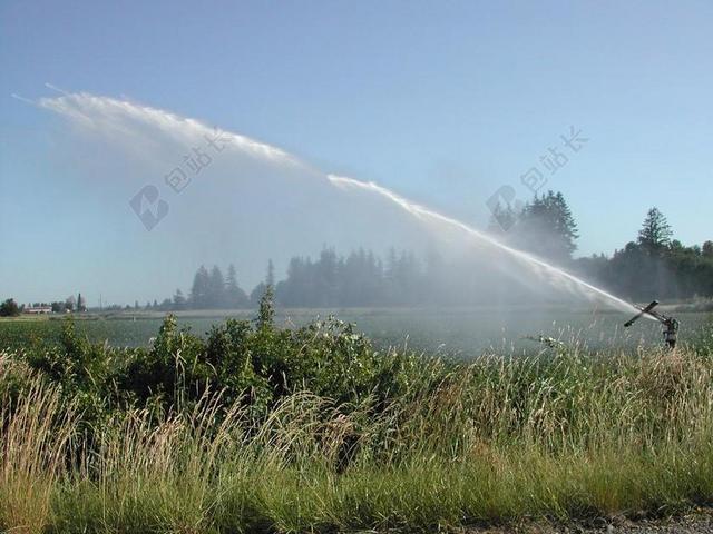 唤雨巫师 自动喷水灭火 农业 草 薄荷 花园 浇水 喷 灌溉