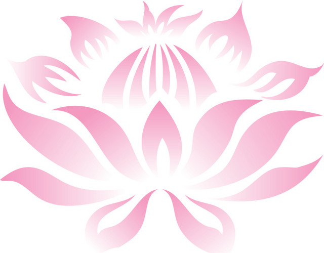 荷花装饰