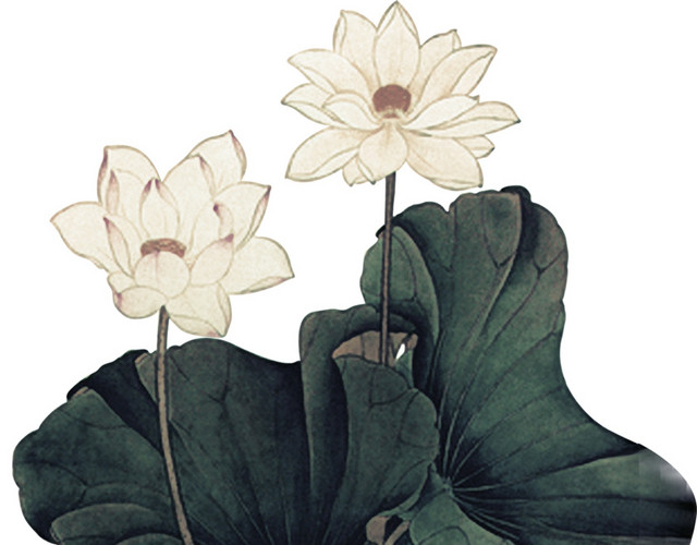 淘宝莲花