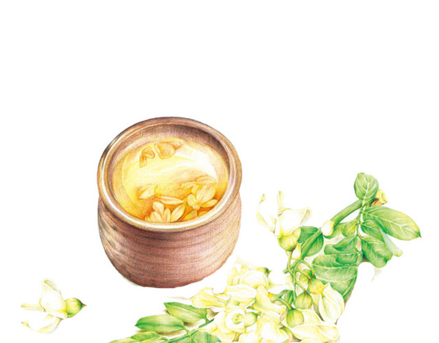 手绘桂花茶