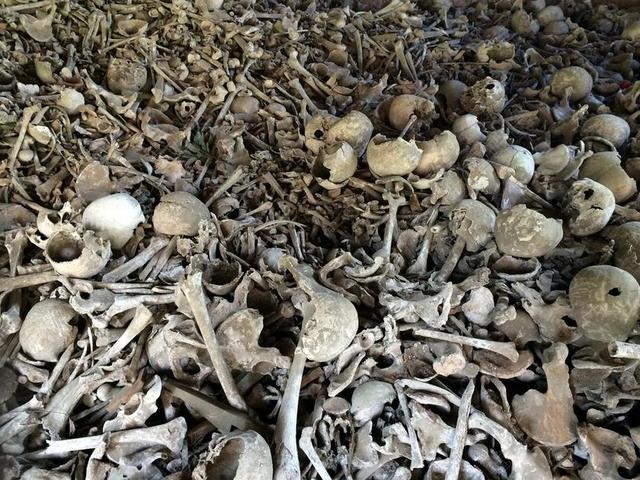 骨 头骨 骨头 很奇怪 骷髅和交叉骨 死 骨架 颅骨骨 牙