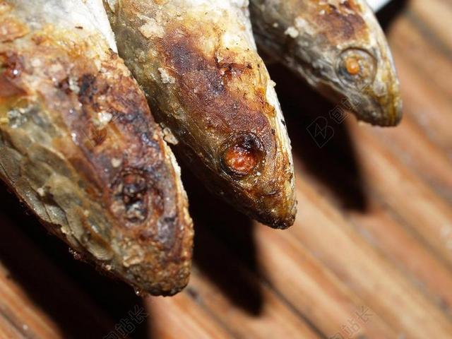 烤鱼美味鲜美干的烧烤店