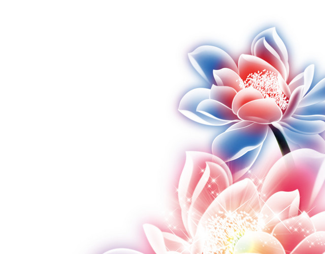 莲花