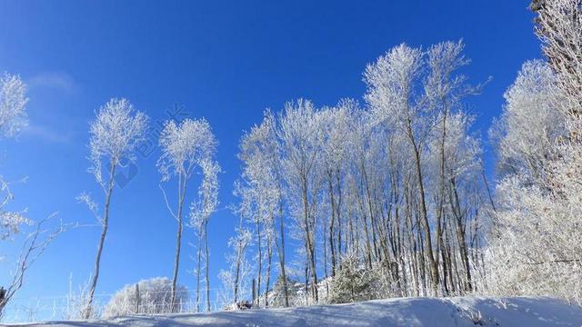 摄影唯美冬日里的雪景背景图片