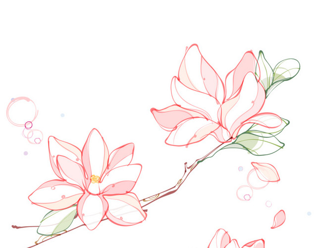 莲花