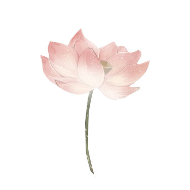 莲花