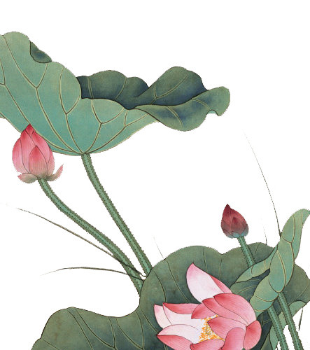 中国风荷花