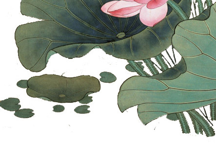 中国风荷花