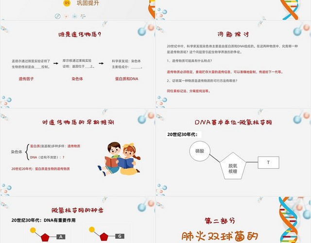 白色插画风简约DNA是主要遗传物质八年级生物下册课件
