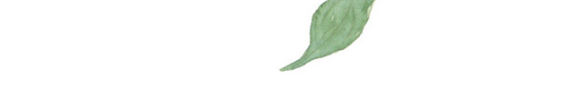 桂花树枝素材