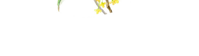 桂花花枝素材