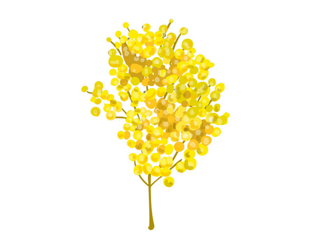 黄色桂花素材
