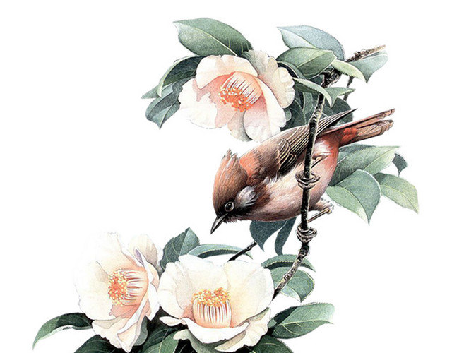 水墨画小鸟