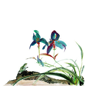 手绘兰花素材
