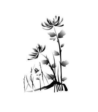 兰花手绘素材
