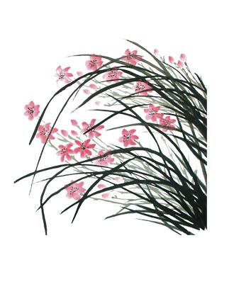 粉色兰花素材