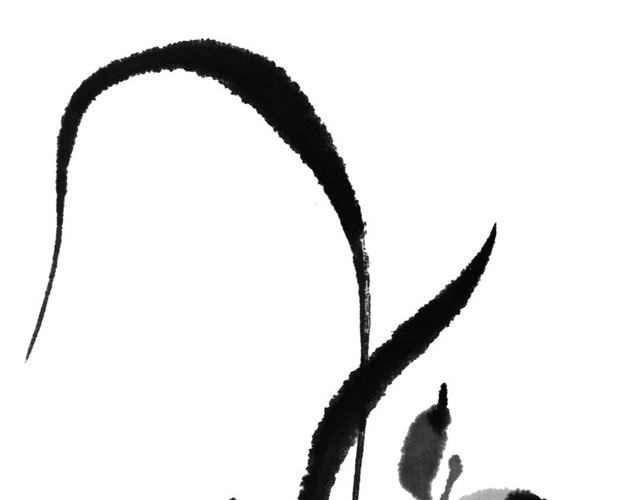 黑色兰花花朵素材