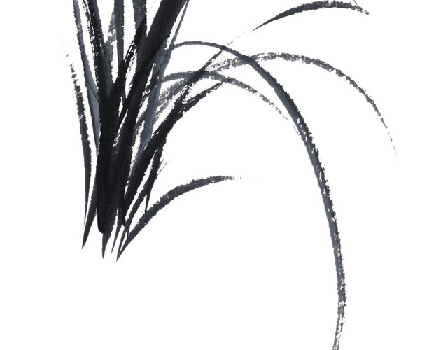 兰花花束素材