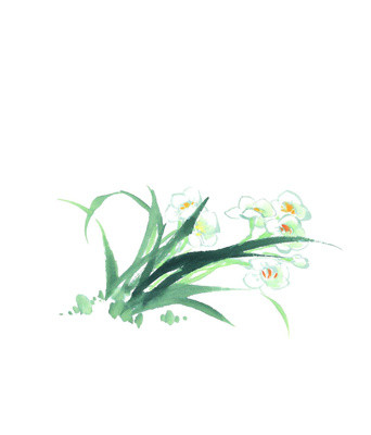 水彩绿色兰花素材