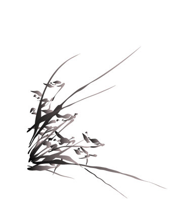 水墨兰花素材