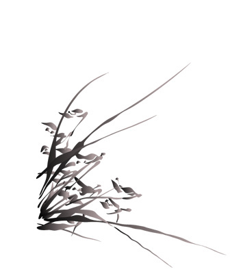 水墨兰花素材
