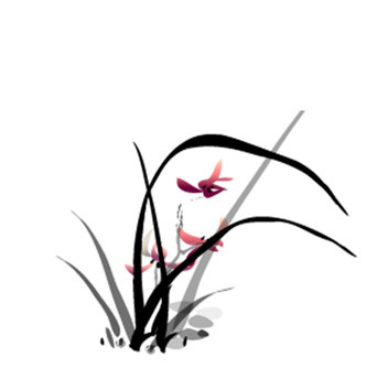 粉色兰花素材