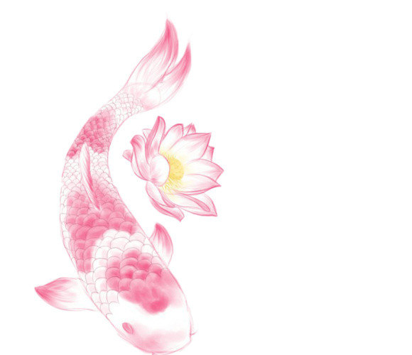 鱼