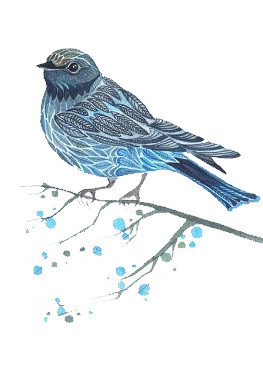 森系小鸟