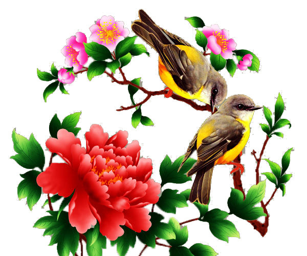 鸟语花香