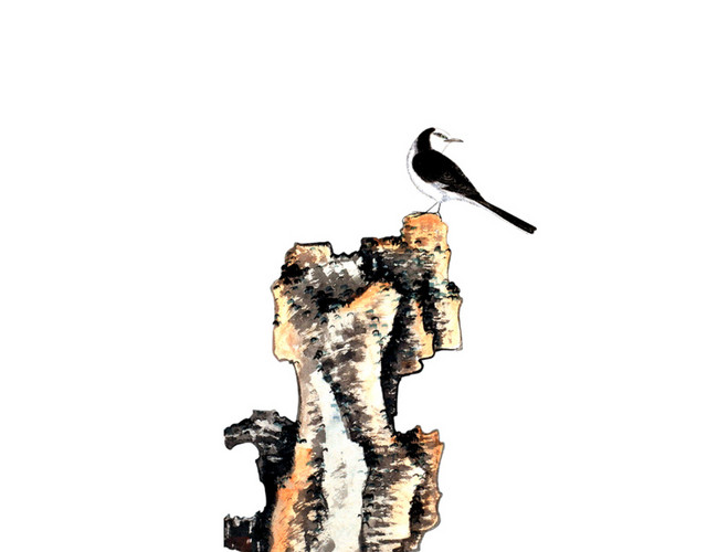 假山