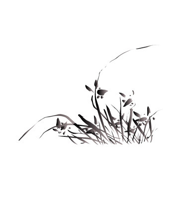水彩兰花素材