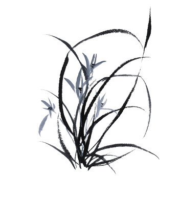 水墨兰花素材