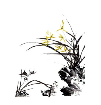 黄色兰花素材