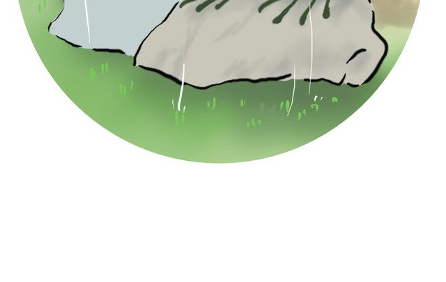 谷雨避雨的旅行青蛙