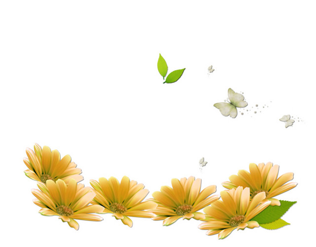 重阳节金菊花朵蝴蝶装饰免下载