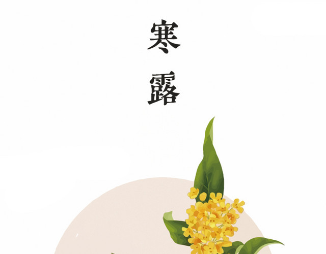 一杯桂花茶