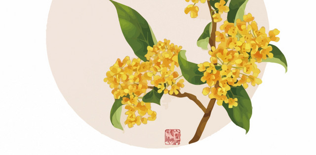 一杯桂花茶