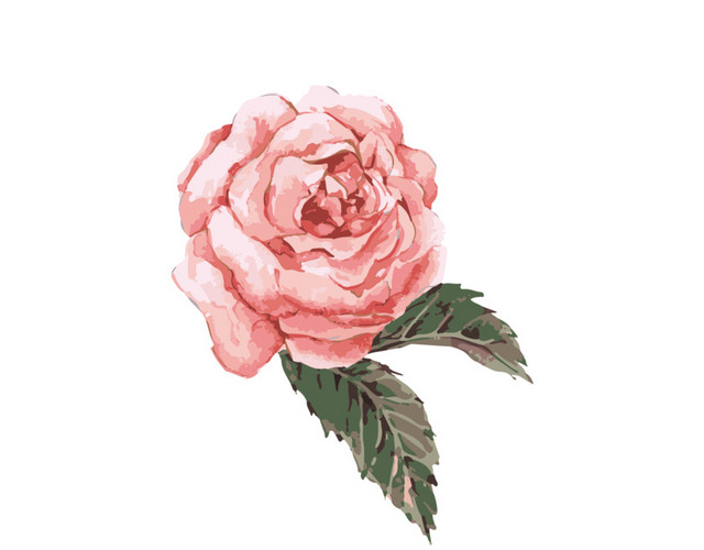 手绘粉色水彩花