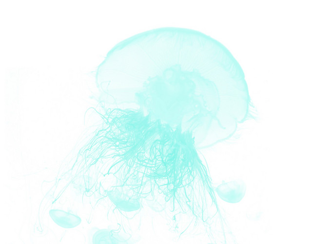 透明生物绿色章鱼水母元素