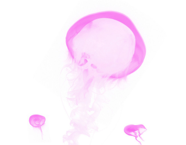 紫色浮游生物水母章鱼元素