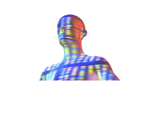 人体图片
