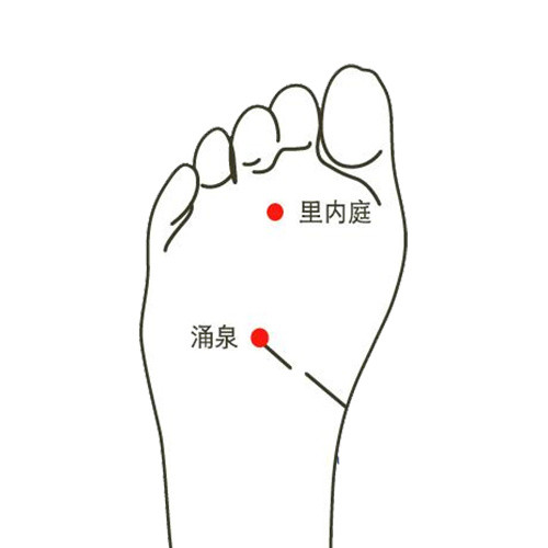 人体脚底穴位