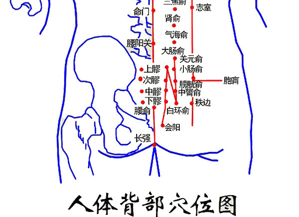 人体背部穴位