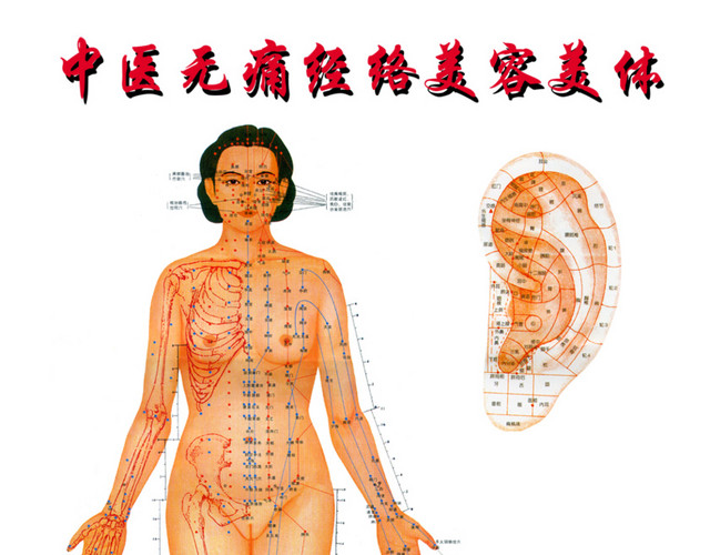 人体经络图
