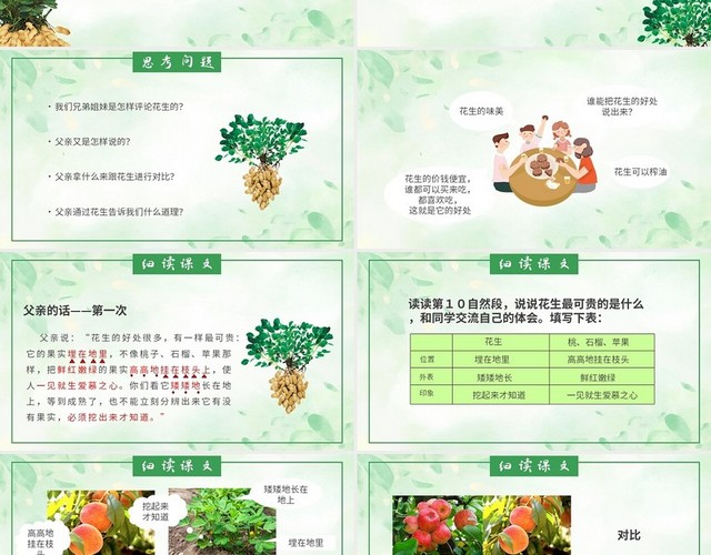 绿色简约初中语文第二课时落花生说课课件PPT模板