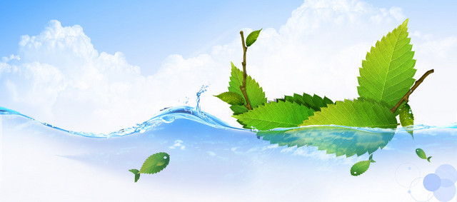 树叶船清新背景BANNER