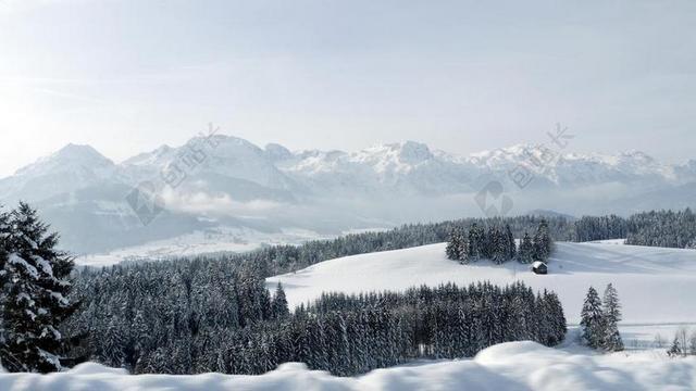 旅游自然雪山丛林背景图片